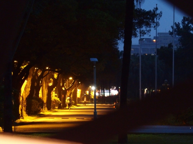 The university in the night